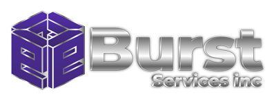 eBurst Services Inc